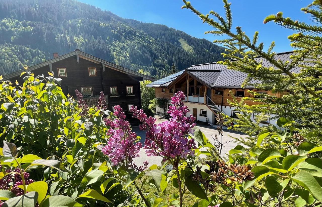 Apartamento Arlerhof Untertauern Exterior foto