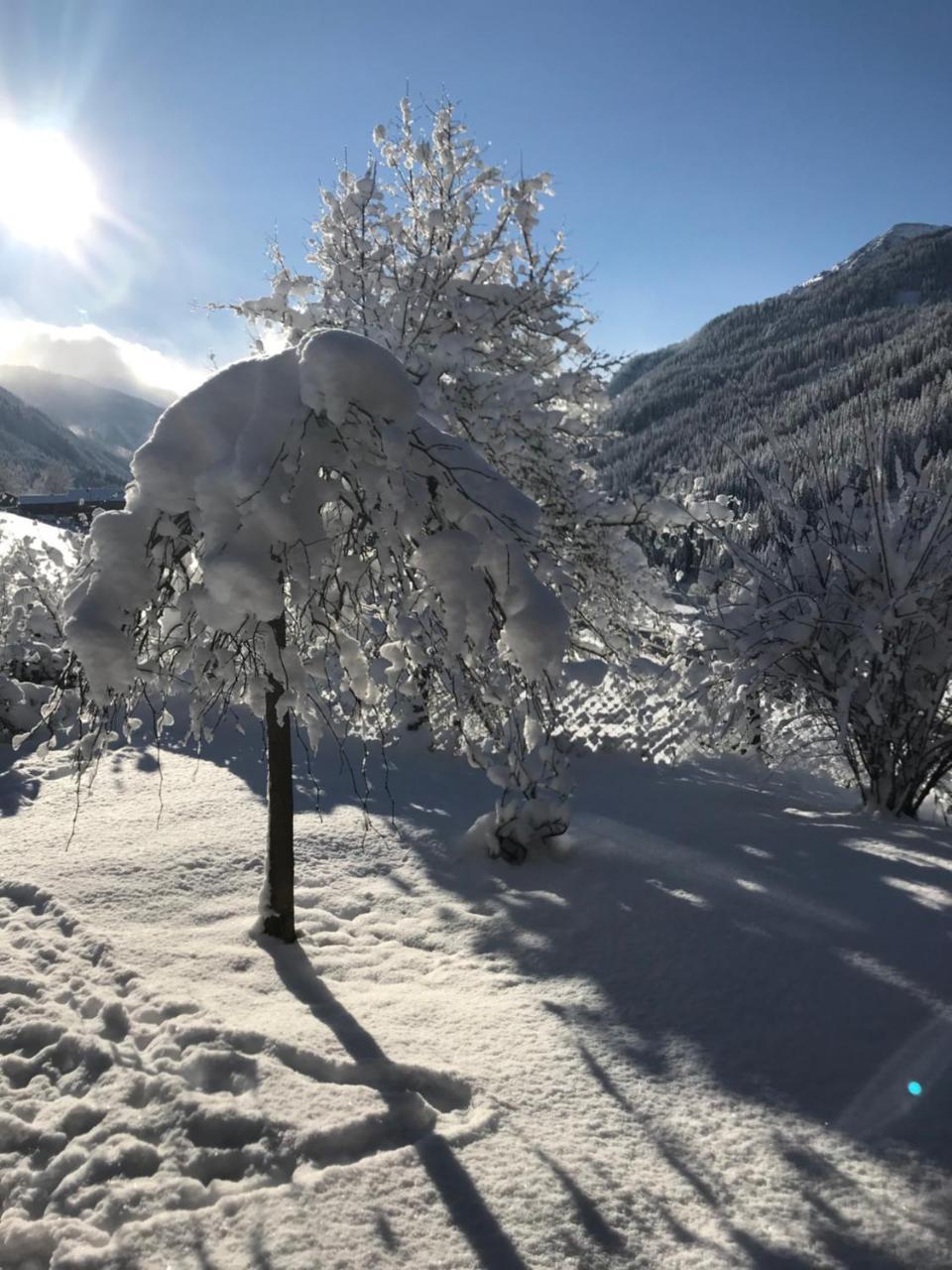 Apartamento Arlerhof Untertauern Exterior foto